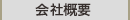 ЊTv